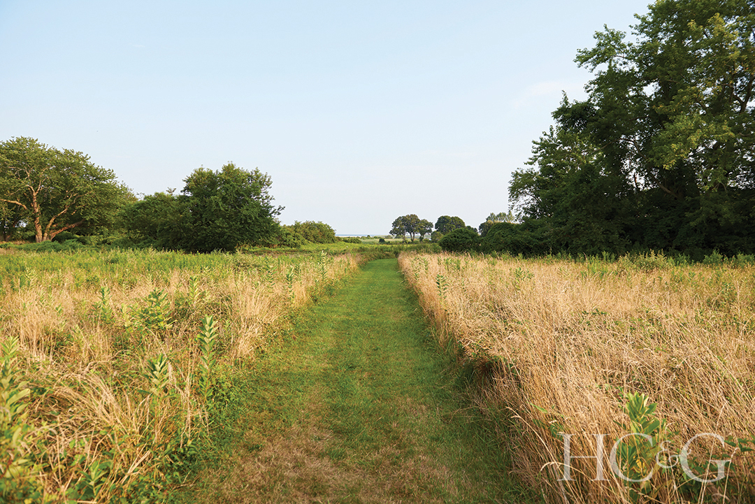 mown path in a grass meadow