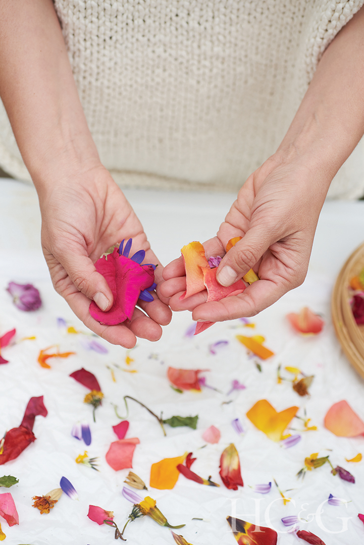 Nicole Delma Sorting Through Flower Petals
