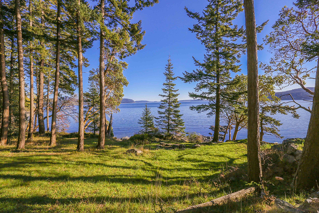 Oprah Winfrey Sells Dreamy Waterfront Estate On Orcas Island For 14m Lawn