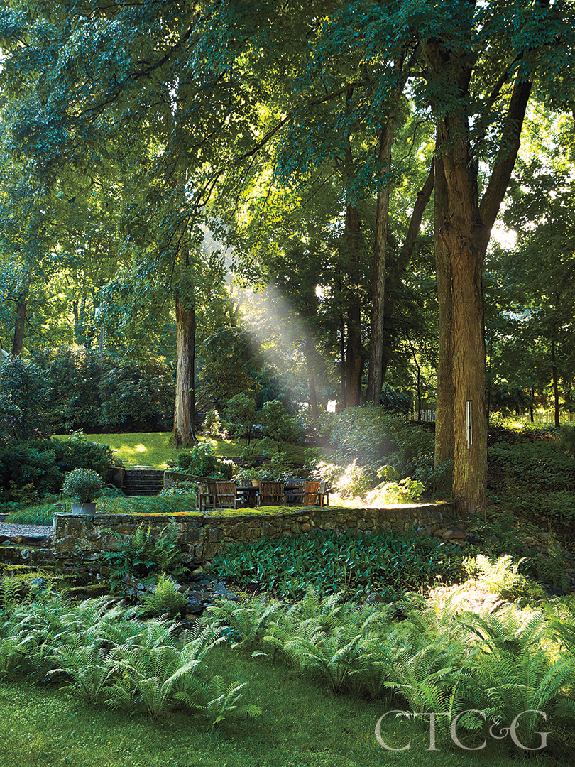 Beams Of Sunlight In Backyard Garden Patio