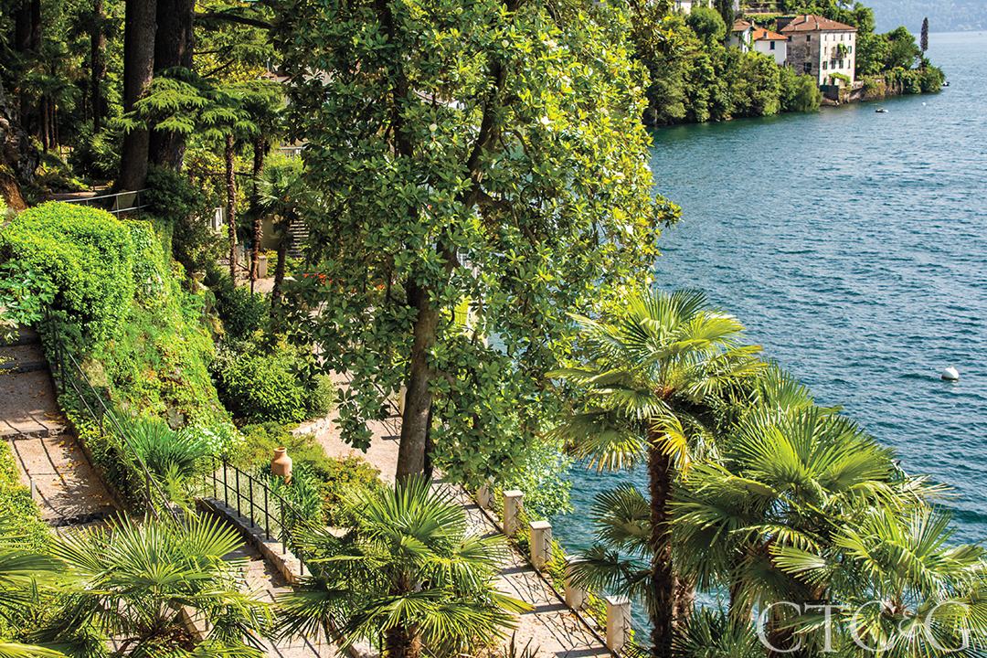 Lake Como Palm Trees