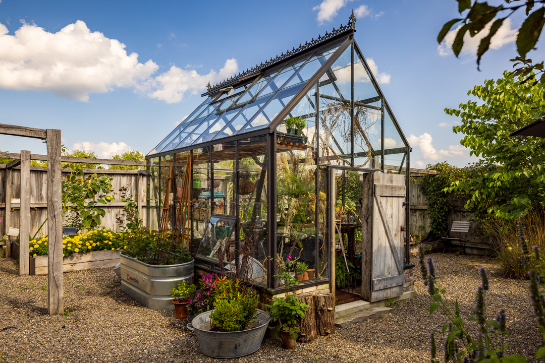 Photo By: Alon Koppel Photography