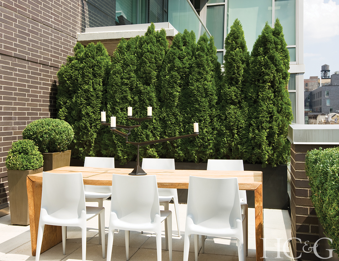 Outdoor Oasis - Arborvitae
