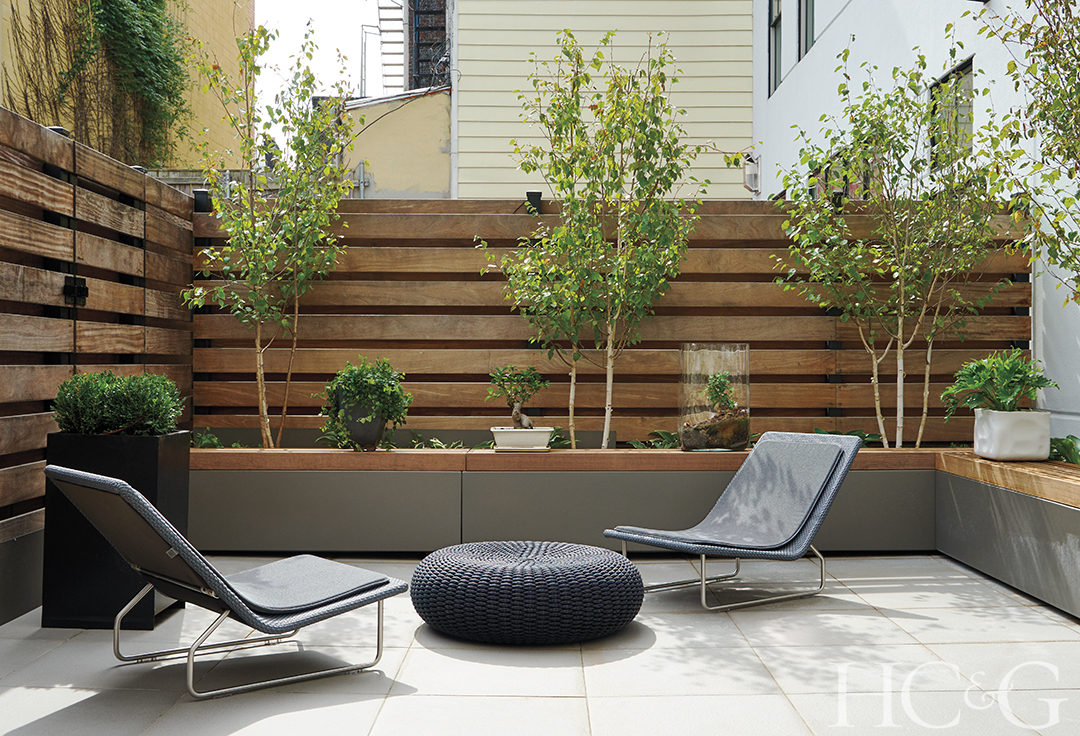 Outdoor Oases - Birch Trees