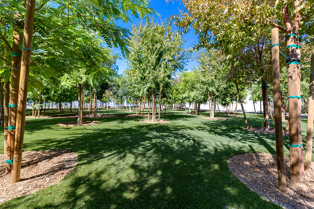 Rockstar Gene Simmons Wants 15m For Las Vegas Modern With 133 Species Of Trees 7taluscourt 103 1