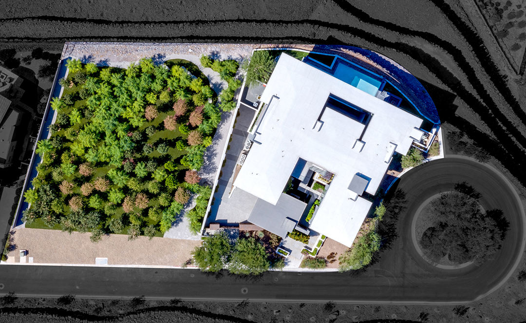 Rockstar Gene Simmons Wants 15m For Las Vegas Modern With 133 Species Of Trees 7taluscourt 186 Edited