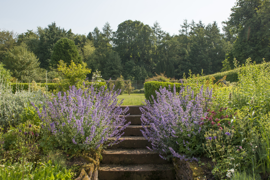 Angus Scotland Careston Castle Estate Garden