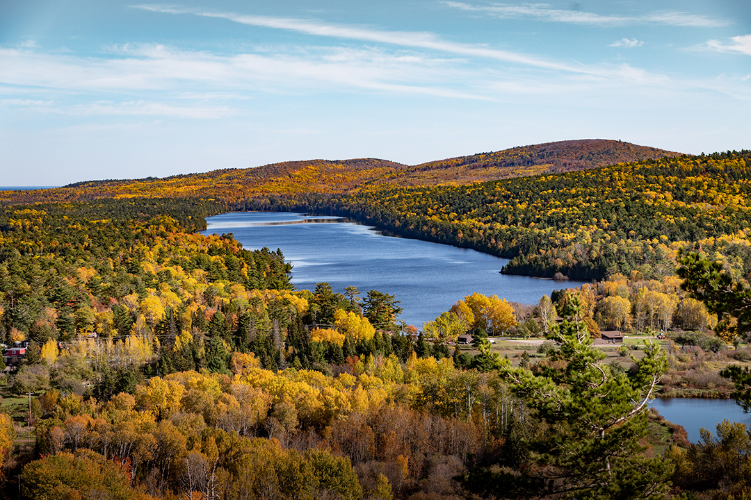 8 Fully Furnished Historic Mansions In Michigan Can Be Yours For 3 5m 7 Of 93