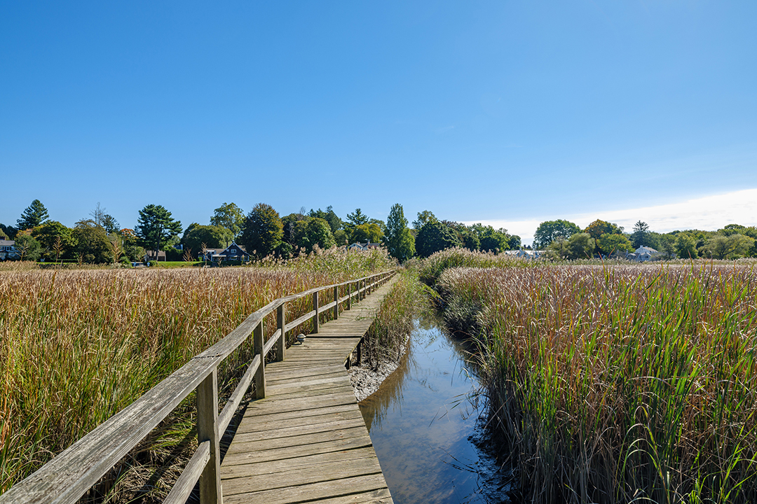 Tour A 4 85m Waterfront Estate In Old Lyme Dotted With Elegant Cottages Dock