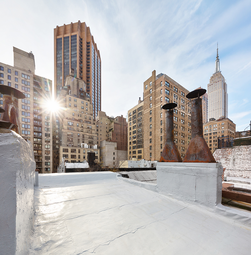 Murray Hill Townhouse Roof Deck Views