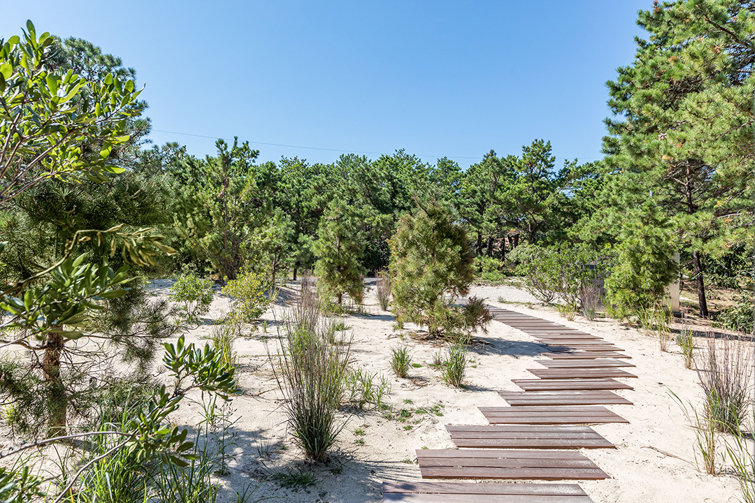 Minimalist Amagansett Beach House Makes A Splash Seeking 5 2m 31 Gilberts Path Amg 7