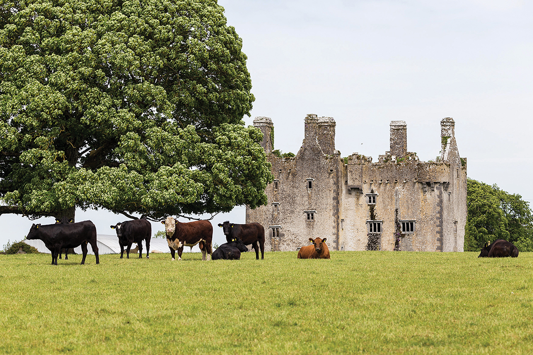 Explore A 300 Acre Estate In Ireland Brimming With Historic Structures And Wildlife Listed For 8 5m Killaleigh Castle And Sopwell Hall 2
