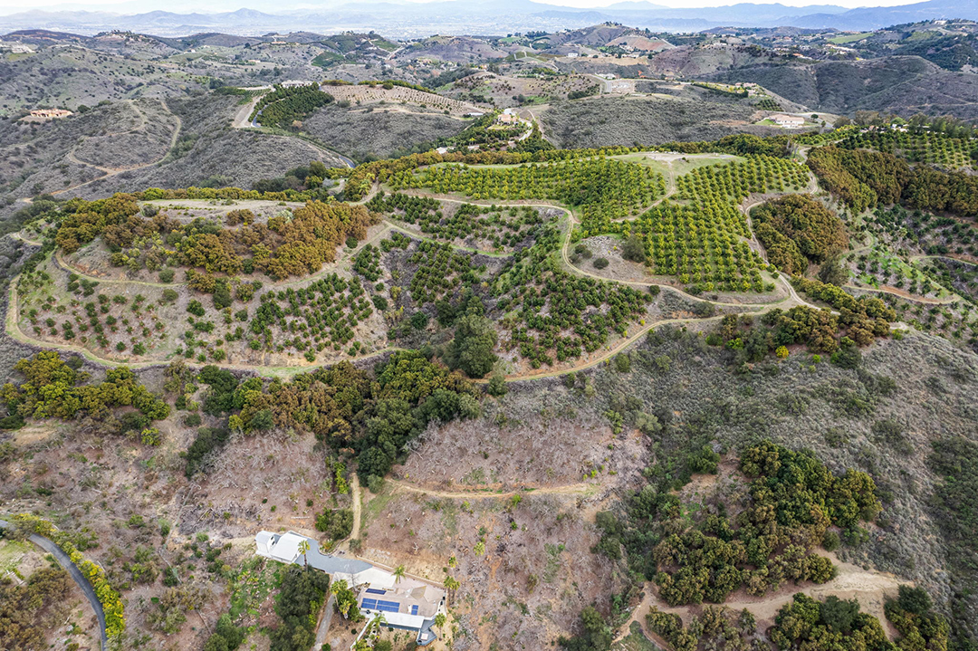 An Inspiring 100 Acre California Oasis With 8500 Avocado Trees Seeks 8m Hills C