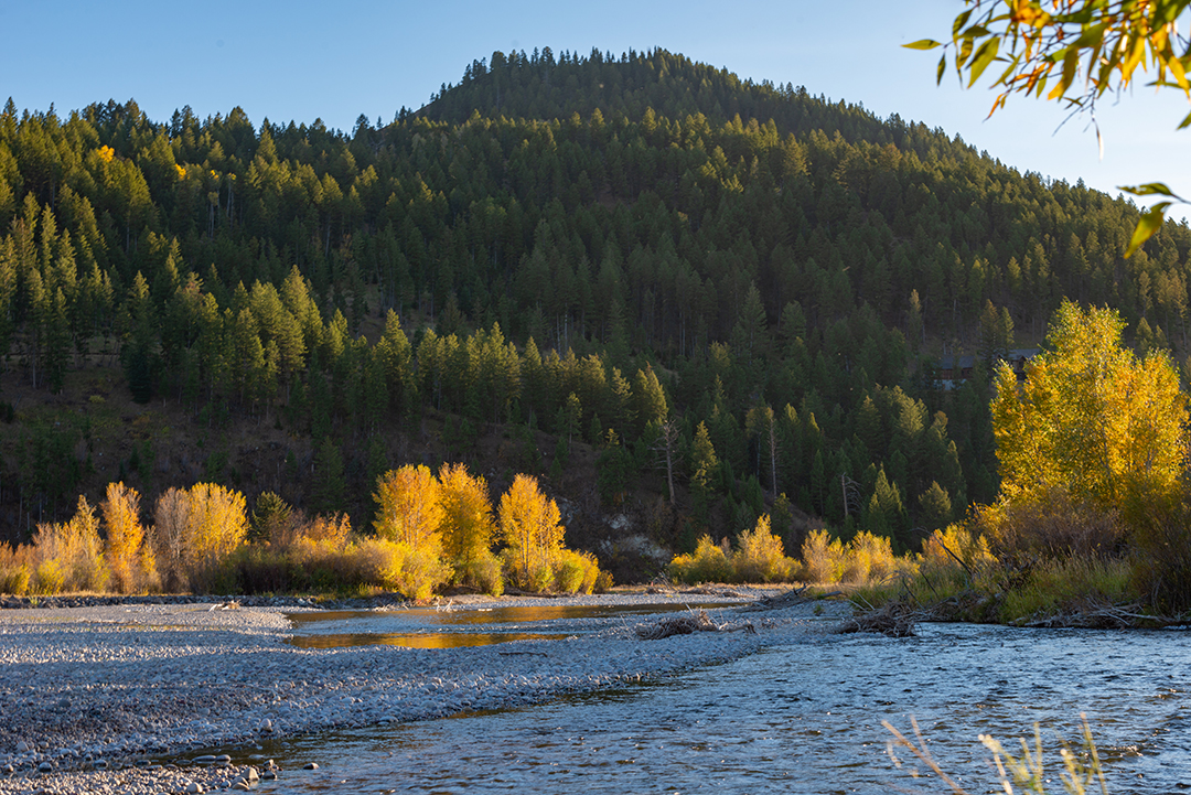 Wyoming Log Cabin Style Mansion Near North Americas 1 Ski Resort Seeks 48mmajesticgrosventreriver
