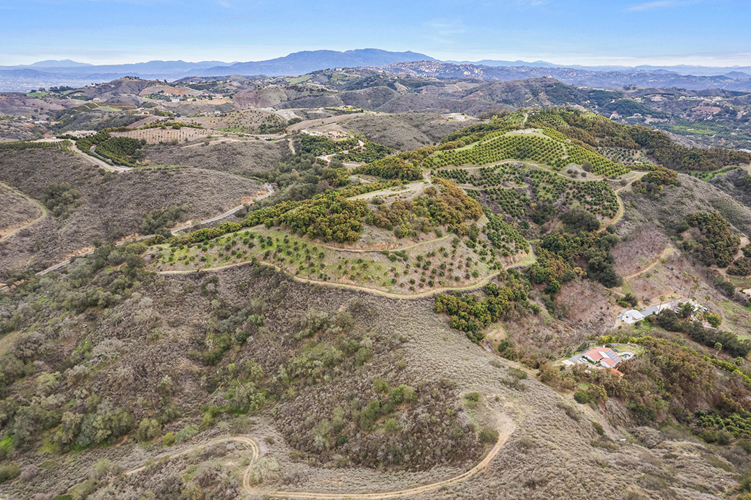 An Inspiring 100 Acre California Oasis With 8500 Avocado Trees Seeks 8m Hills