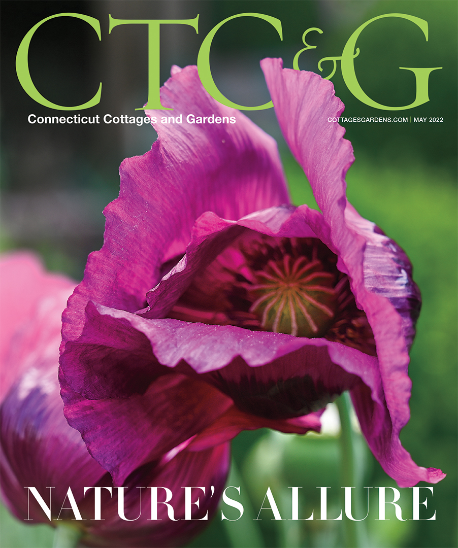 Ctcg Cover May 2022
