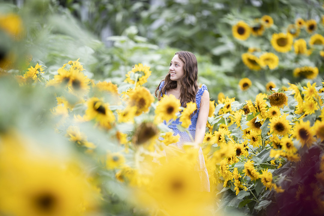 Reasons To Make Woodstock Vermont Your Summer Vacation Destination Billings Sunflower House