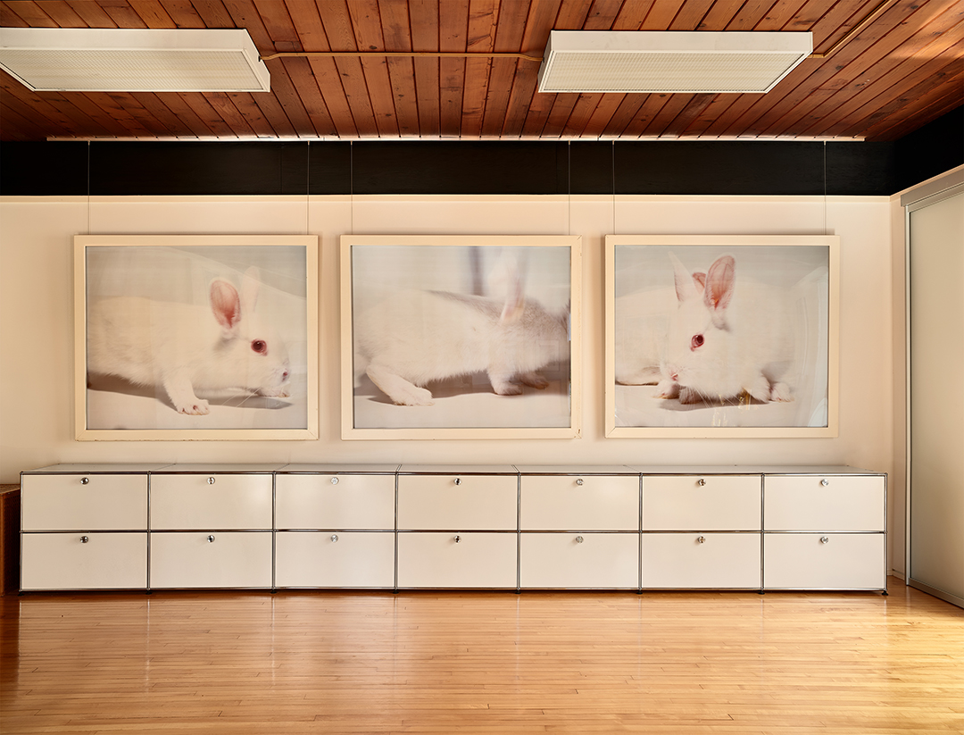 Bauhaus Inspired Midcentury Modern Tatum House In New Canaan Is Up For Grabs E