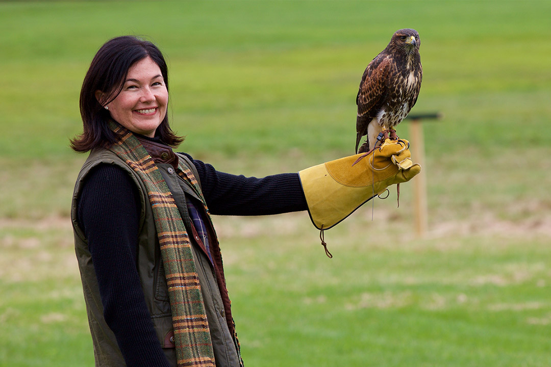 Reasons To Make Woodstock Vermont Your Summer Vacation Destination Falconry
