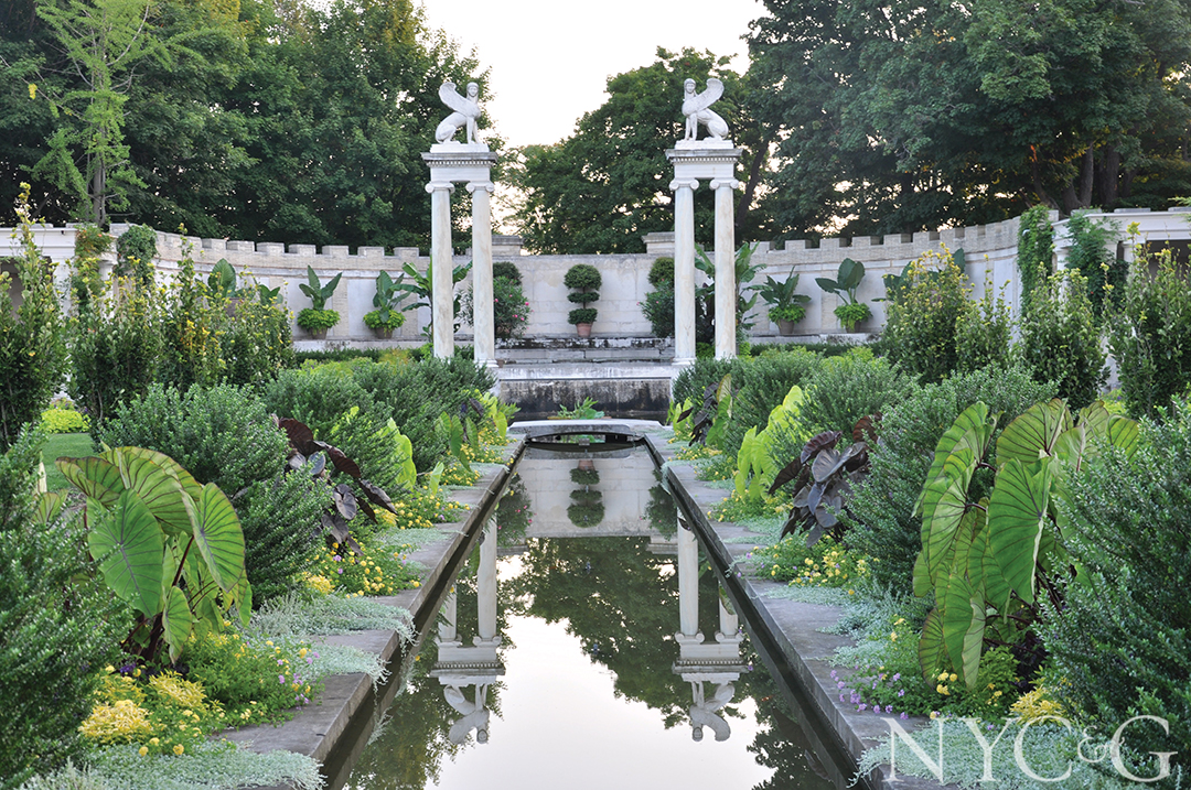 Walled Elephantears Sphinx Hi Res