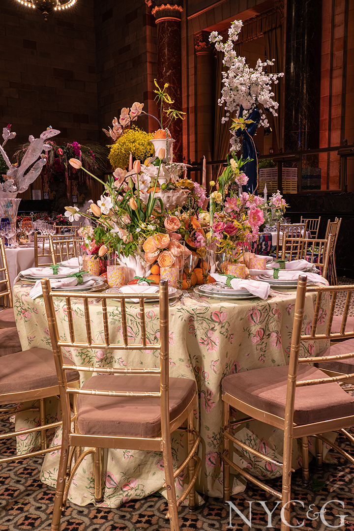 Mr 23 Alessandra Branca 2