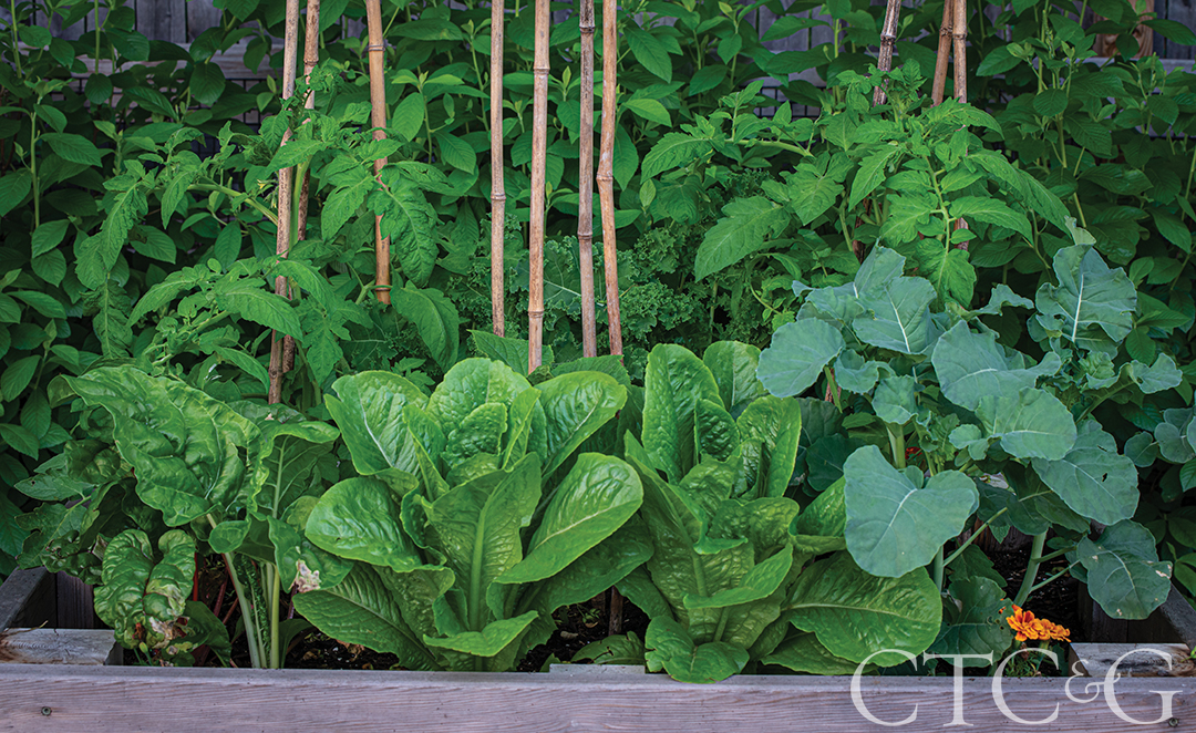 Old Greenwich 6876 Photo By Jgg