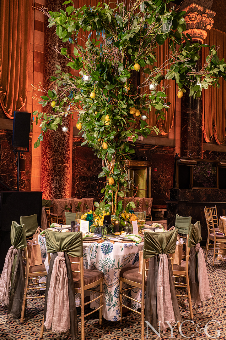 Mr 7 Toledo Geller 2