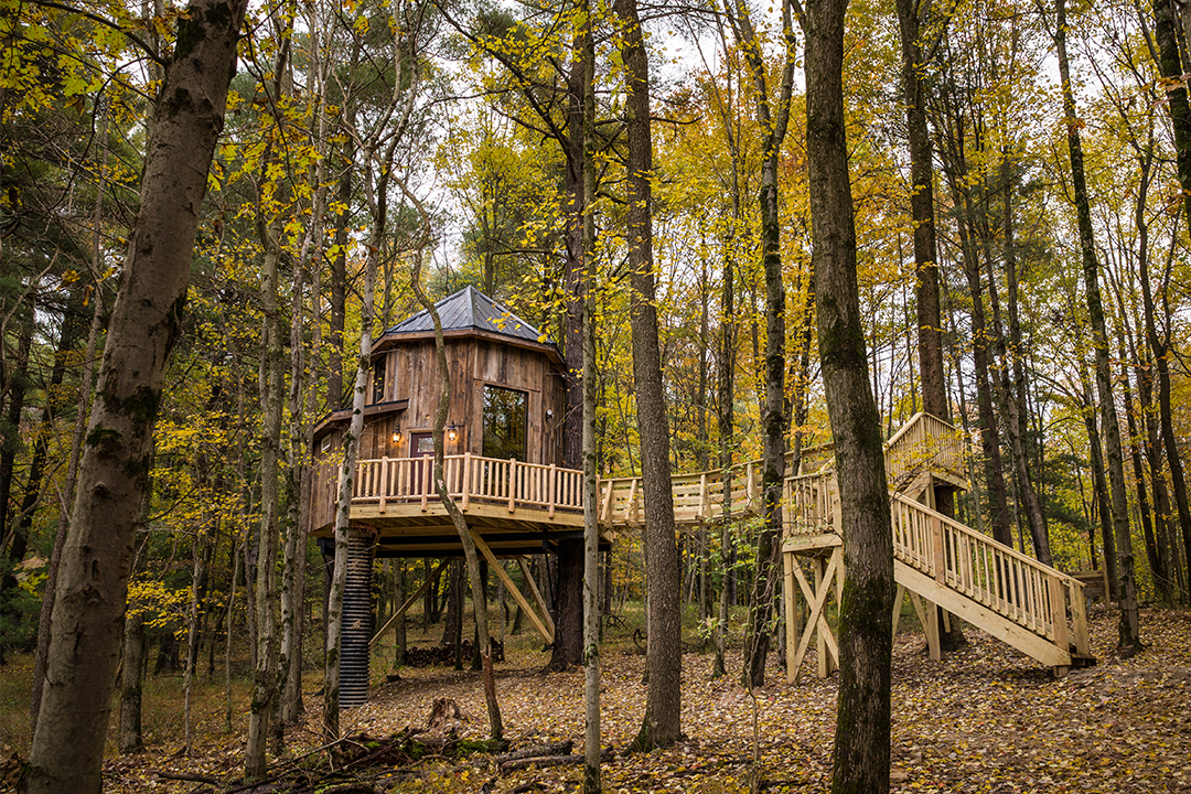 Take A Look Inside This Treetop Getaway