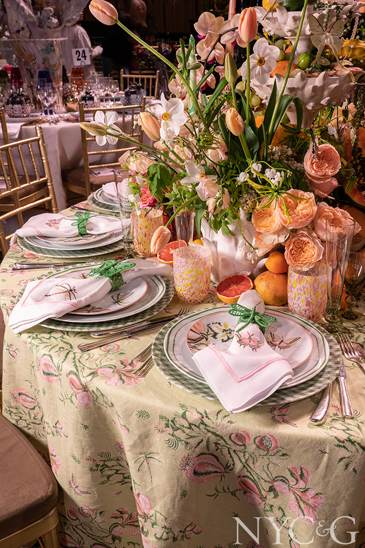 Mr 23 Alessandra Branca 4