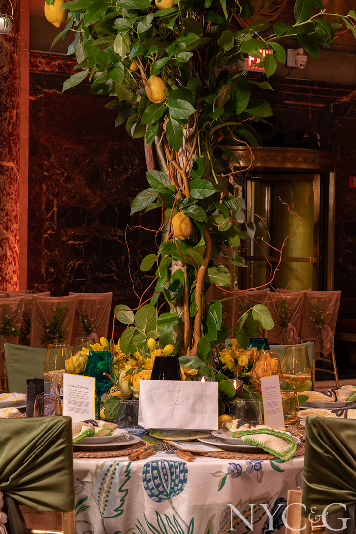 Mr 7 Toledo Geller 1