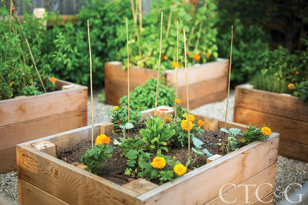 181 Shore Rd Greenwich Landscape 2018 Modern Fotographic By Dave Noonan 4 Of 20 Lc