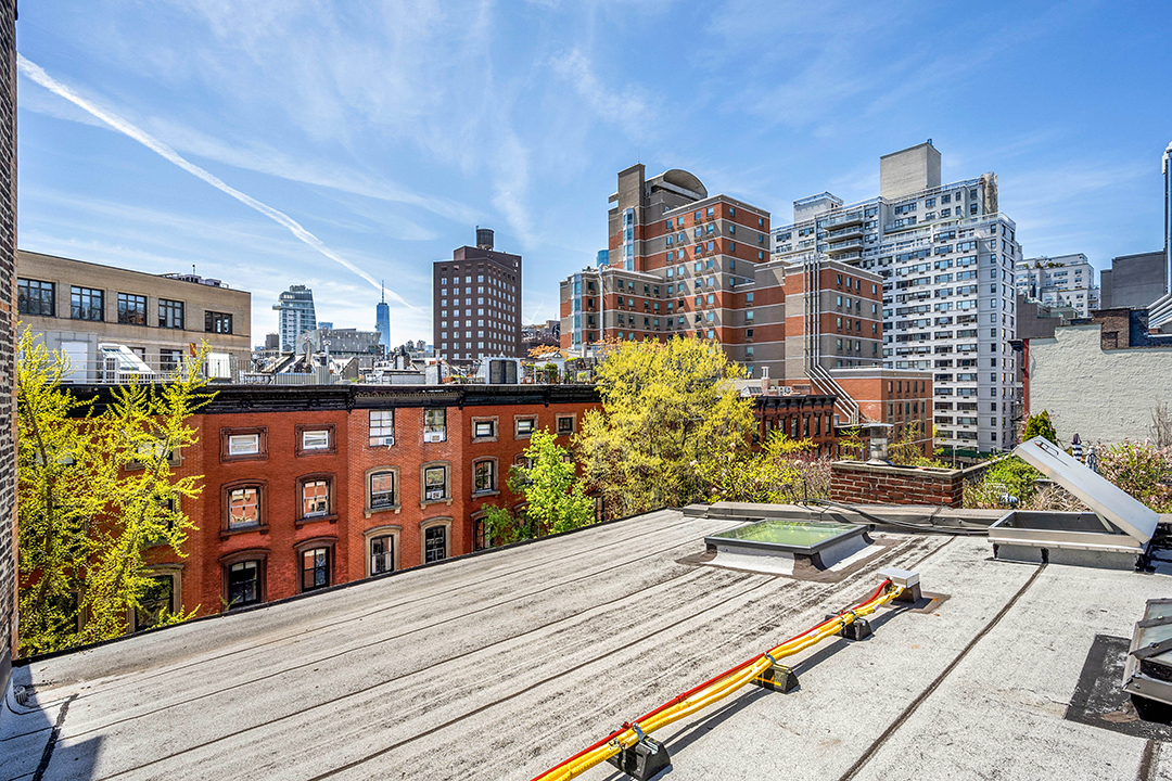 Actor Alexander Skarsgards Historic East Village Pad Lists After Careful Renovations Roof Deck