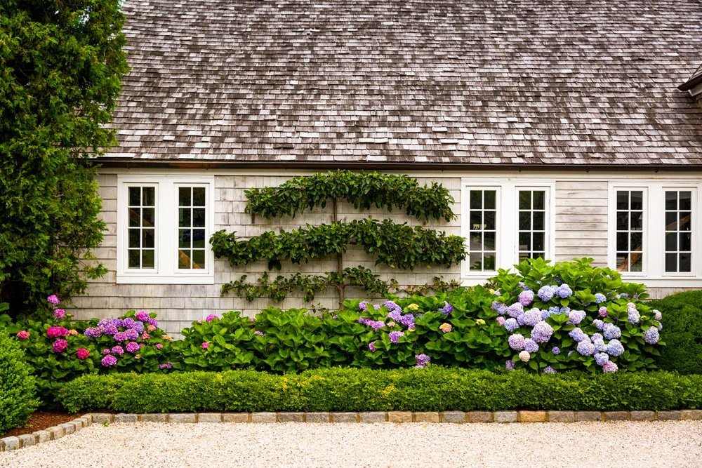 A Guide To Making Your Home A Farm To Table Paradise Gardeneering Gardens