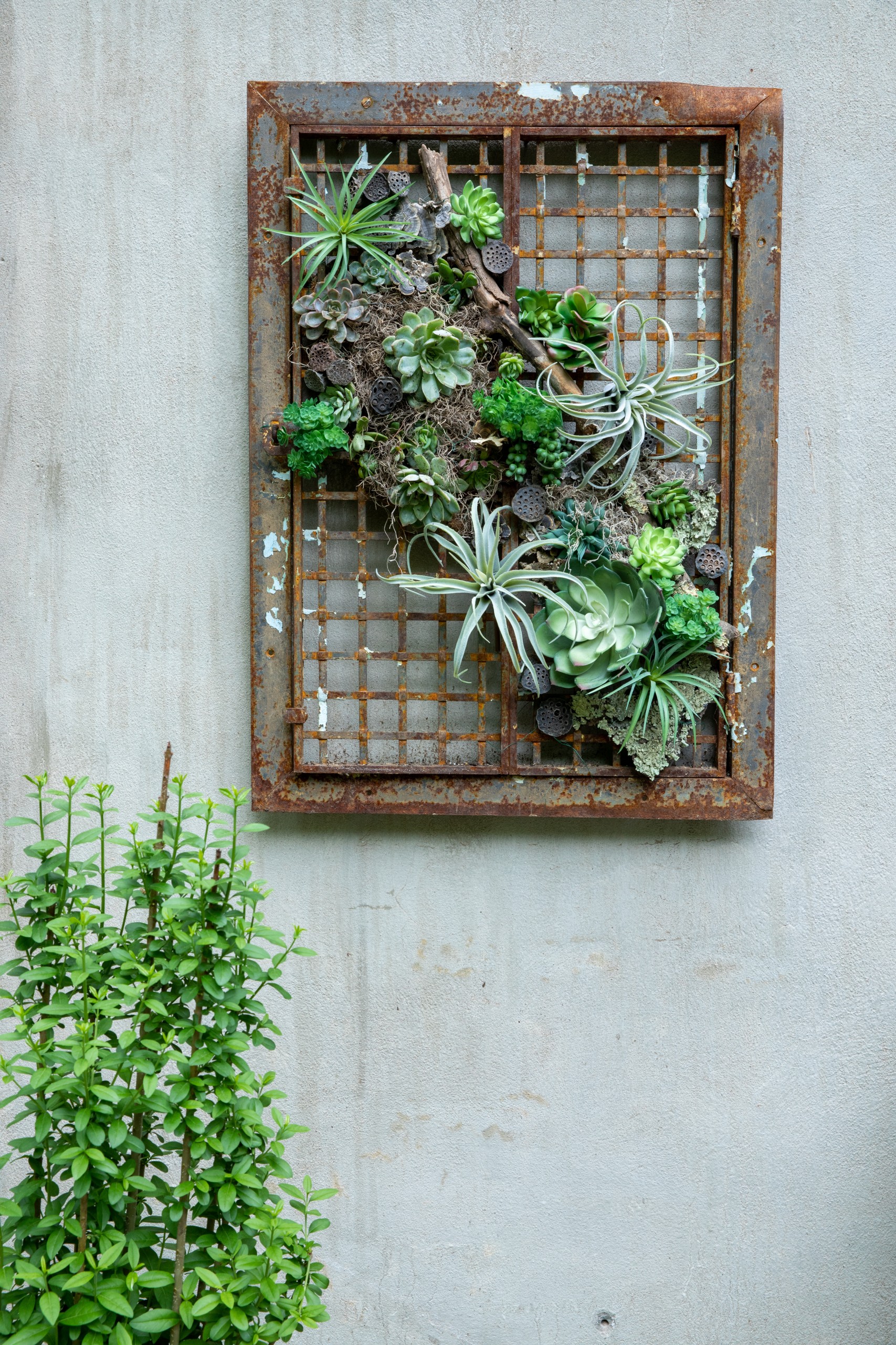 Ctcg Moreau Exteriorback2 001