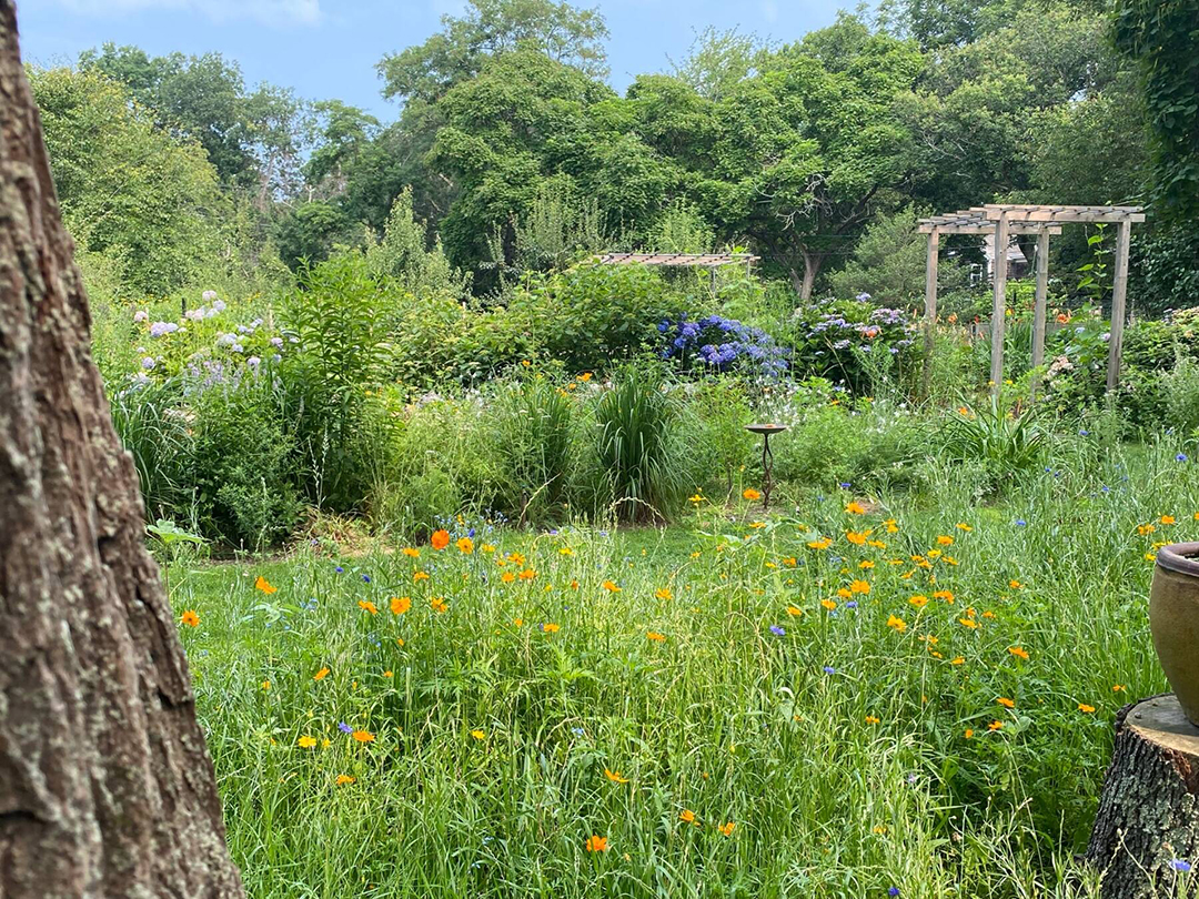 Landscape Designer Edwina Von Gals Circa 1974 Waterfront Oasis Asks 11 5m In East Hampton Z
