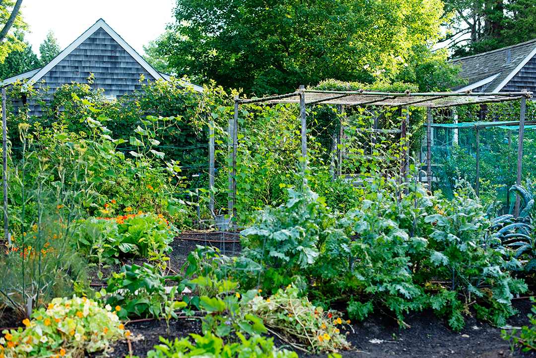 A Guide To Making Your Home A Farm To Table Paradise Gardeneering Mrly 16