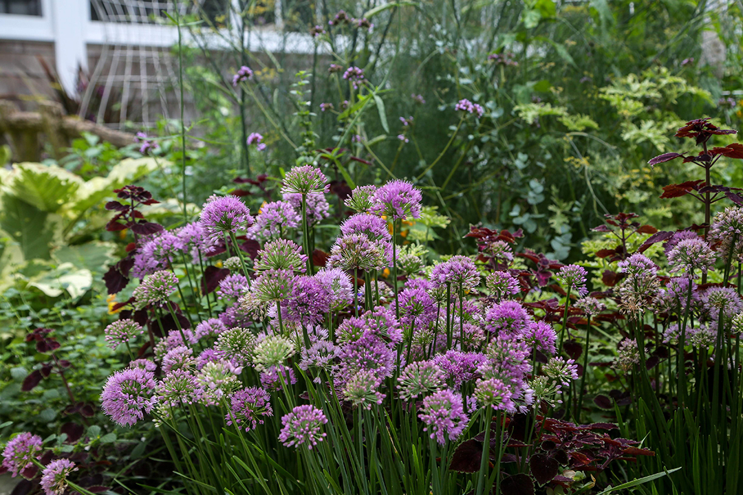 A Guide To Making Your Home A Farm To Table Paradise Gardeneering 20170804 2q7a0171