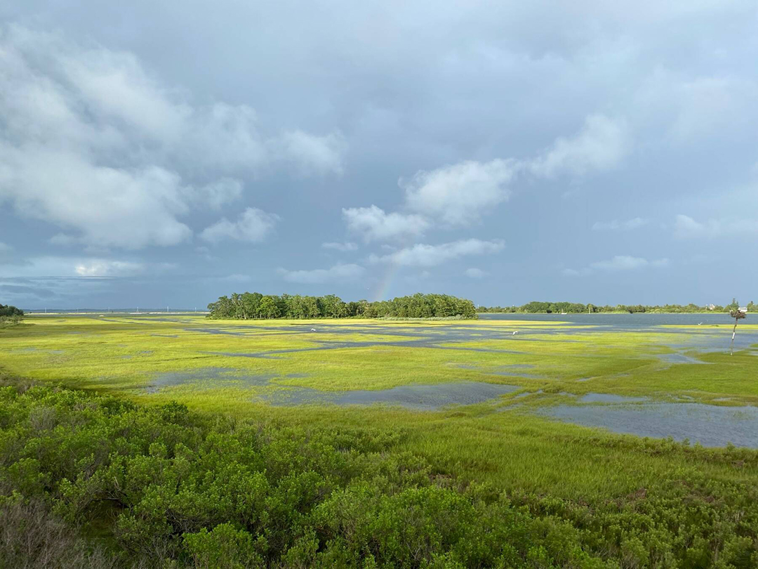 Landscape Designer Edwina Von Gals Circa 1974 Waterfront Oasis Asks 11 5m In East Hampton R