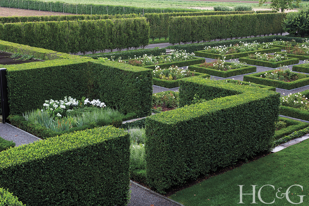 Wm Roses And Hedges H6 2016 Ph Lauren Coleman