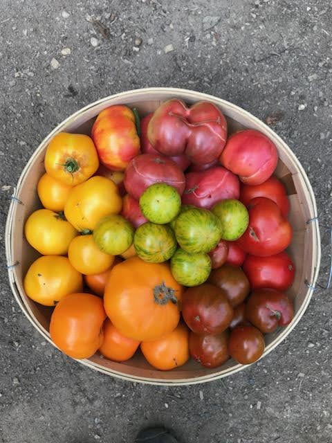 A Guide To Making Your Home A Farm To Table Paradise Gardeneering Tomatoes B