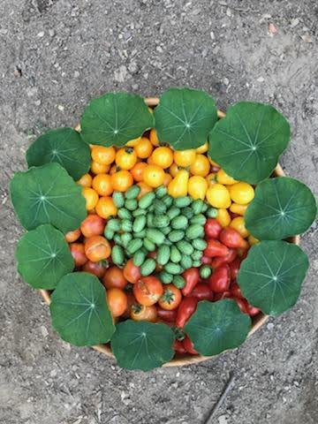 A Guide To Making Your Home A Farm To Table Paradise Gardeneering Harvest