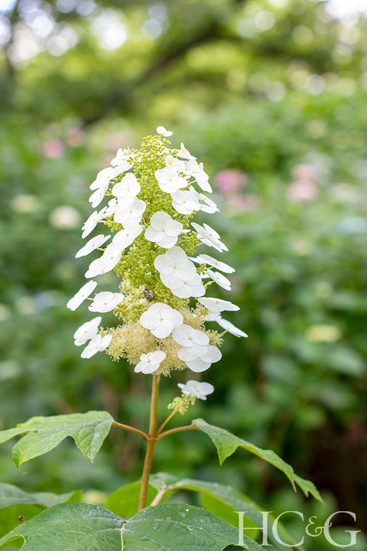 Shutterstock 1921338302