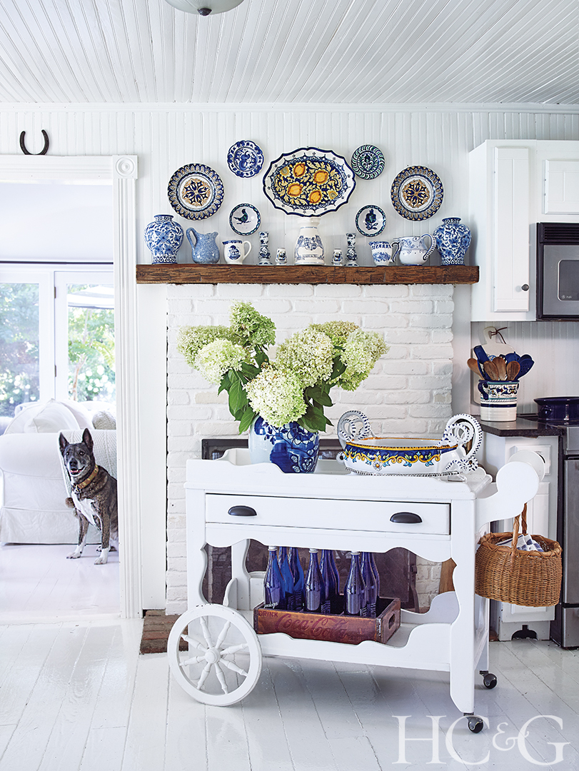 Rossetti Kitchen Detail Pup 01 220