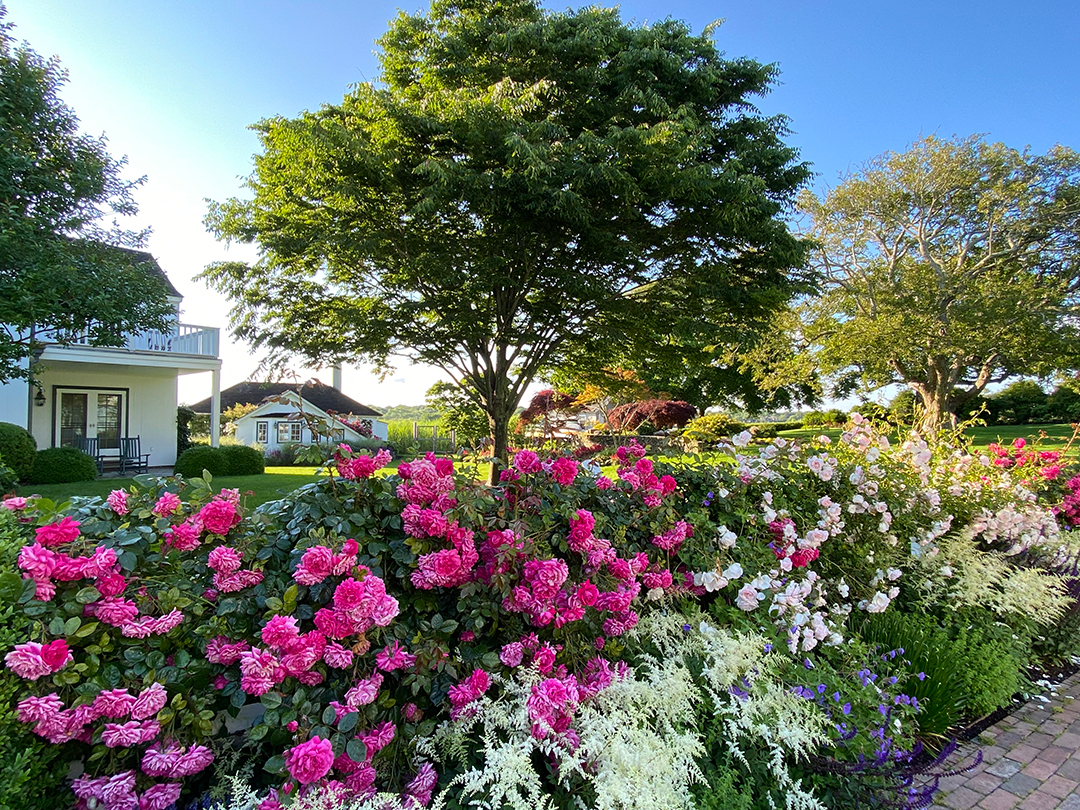 Tour An Ever Evolving Estate On Georgica Pond Chapter 1 2