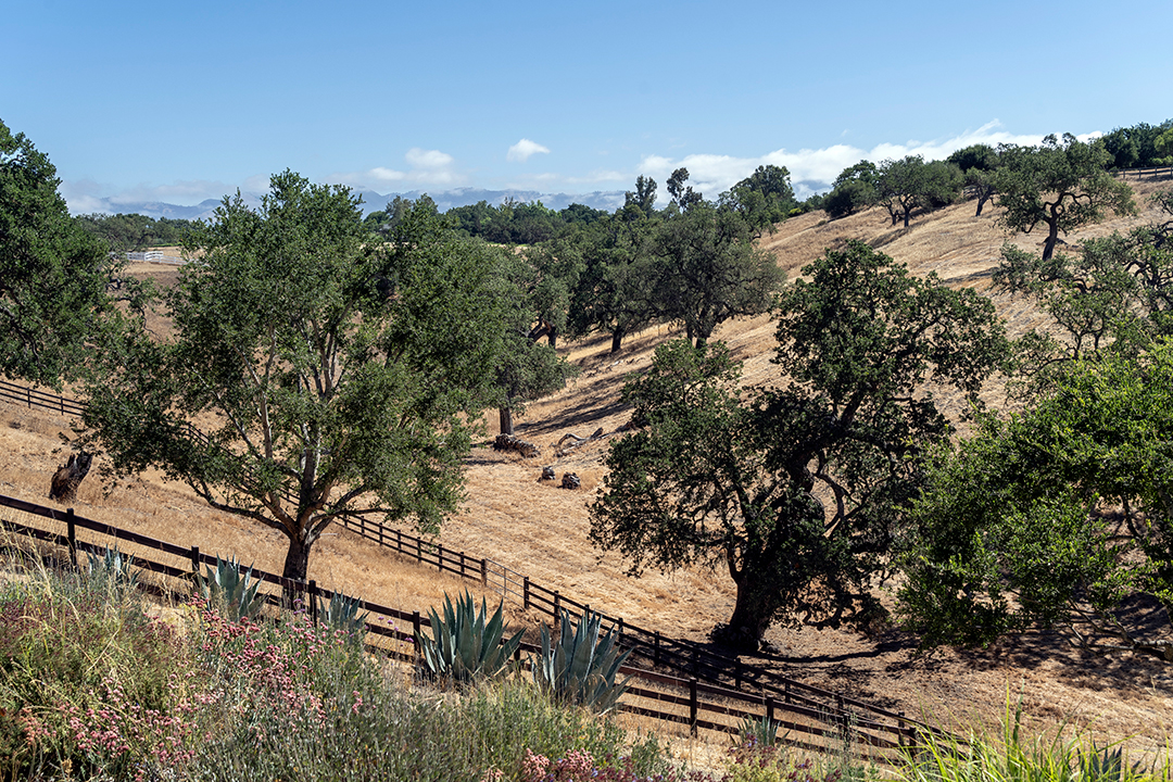 Designer Helene Aumonts Countryside California Home Harkening To France Lists For 5 8m X