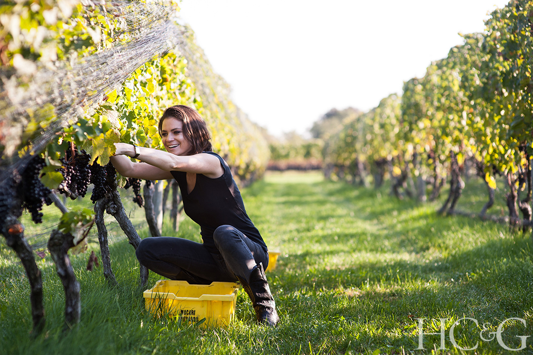 Gabriellamacarimacarivineyards 002