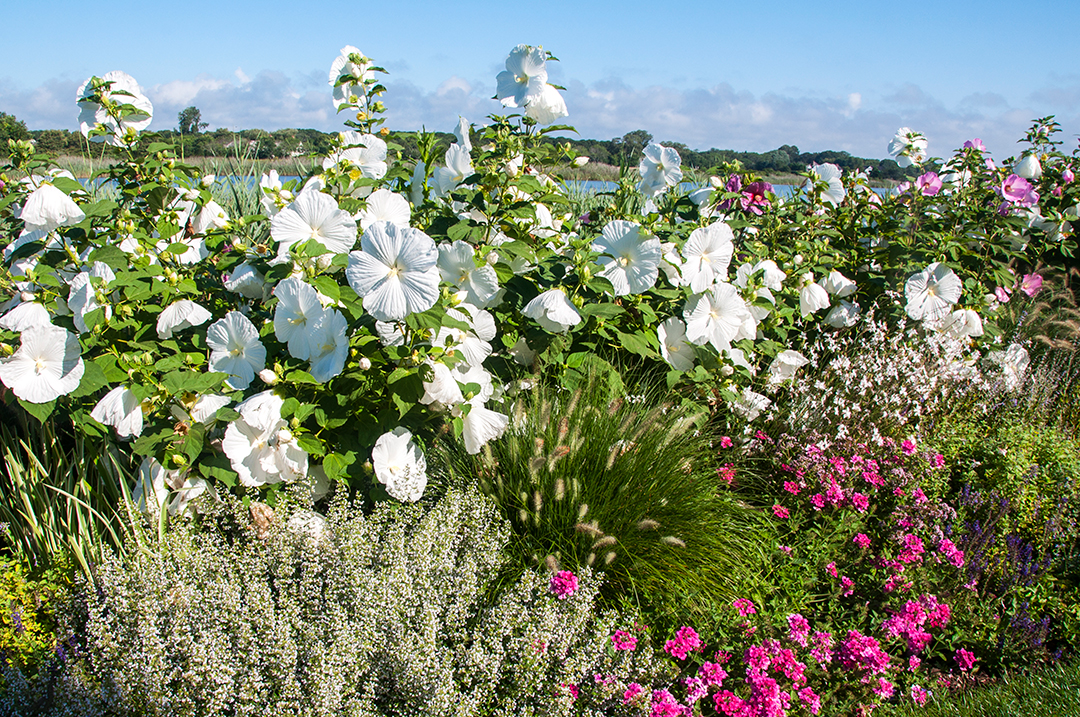 Tour An Ever Evolving Estate On Georgica Pond Chapter 1 4