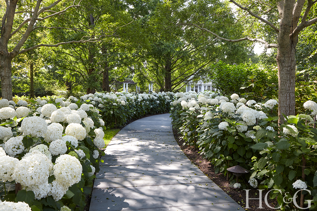 Gruss Garden 35mm 044 Ph Tris Giovan