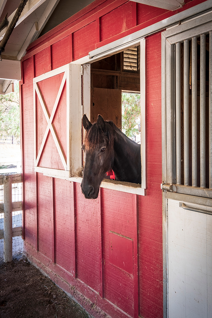 Designer Helene Aumonts Countryside California Home Harkening To France Lists For 5 8m Zz
