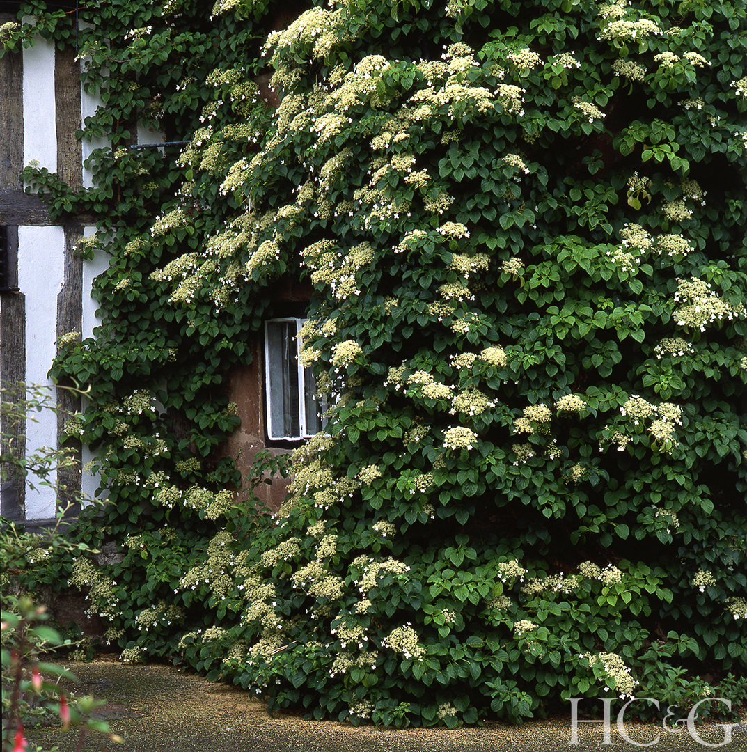 Shutterstock 1332244652